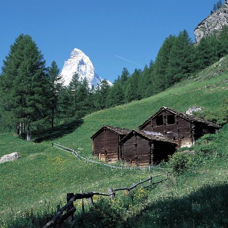 Apartment Hubertus-1 By Interhome Zermatt Exteriör bild