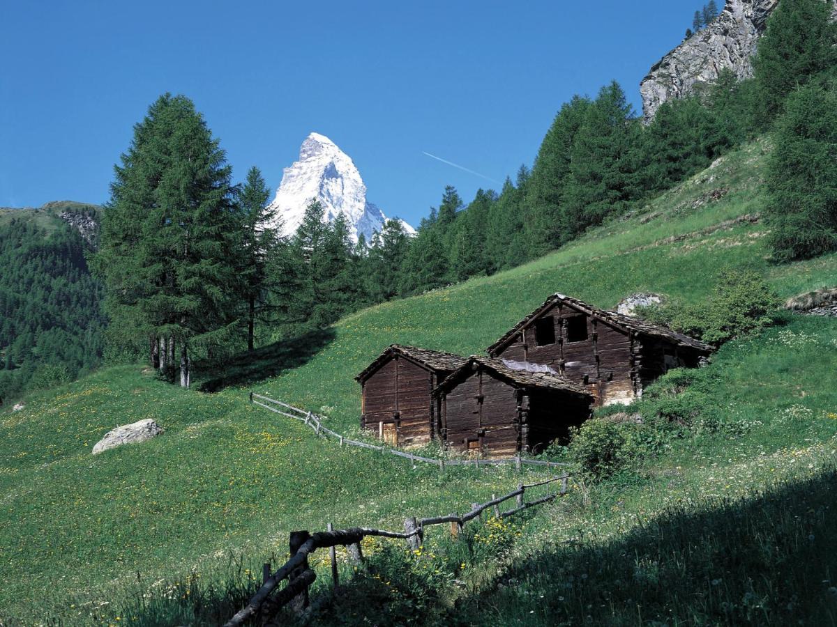 Apartment Hubertus-1 By Interhome Zermatt Exteriör bild